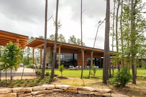 View/Area - 12990 Soaring Forest Dr, Conroe, TX 77302 photo 10 of 12
