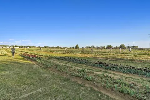 Other - 6517 Adderly Rd, Pilot Point, TX 76258 photo 5 of 9