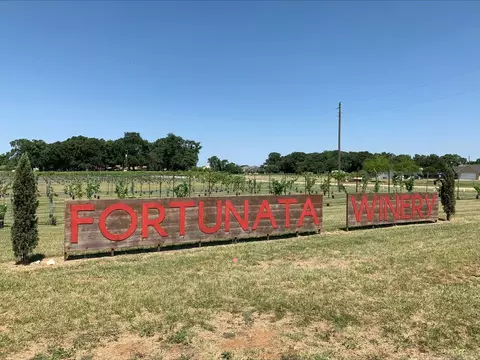 Exterior - 6517 Adderly Rd, Pilot Point, TX 76258 photo 10 of 10