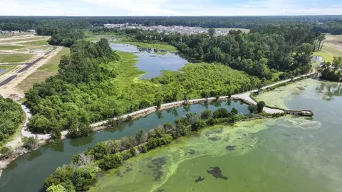 View/Area - 314 Sweetspire St, Moncks Corner, SC 29461 photo 6 of 17