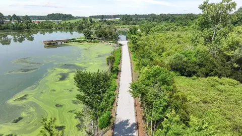 View/Area - 314 Sweetspire St, Moncks Corner, SC 29461 photo 2 of 17