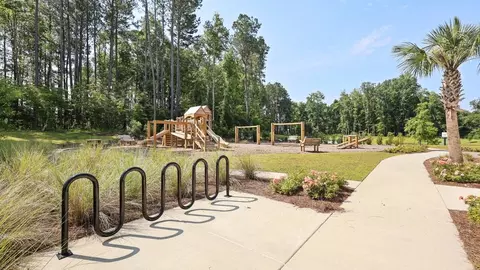View/Area - 314 Sweetspire St, Moncks Corner, SC 29461 photo 11 of 17