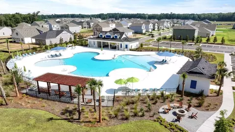 Exterior - 314 Sweetspire St, Moncks Corner, SC 29461 photo 10 of 10