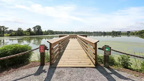 View/Area - 314 Sweetspire St, Moncks Corner, SC 29461 photo 12 of 17