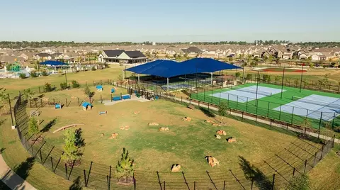 View/Area - 22071 Ponticelli Dr, Hockley, TX 77447 photo 2 of 7