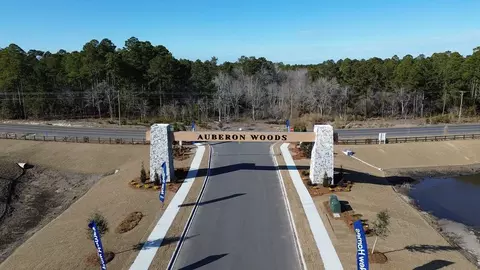View/Area - 433 Glacier Way, Conway, SC 29526 photo 3 of 10