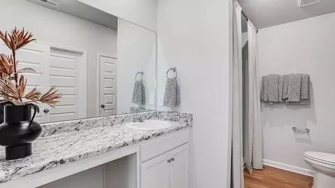 Bath - 1001 Rider Dr, Trinity, AL 35673 photo 1 of 4