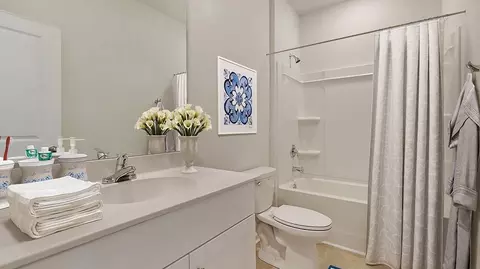 Bath - 1244 Patchouli Dr, Longs, SC 29568 photo 2 of 4