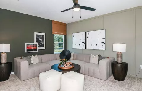 Other - 13716 Sunlight Meadow Dr, Riverview, FL 33578 photo 5 of 14