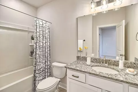 Bath - 26 Bramall Dr, Greer, SC 29651 photo 2 of 3