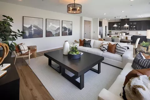 Living - 3015 Declaration Ave, Lincoln, CA 95648 photo 1 of 1