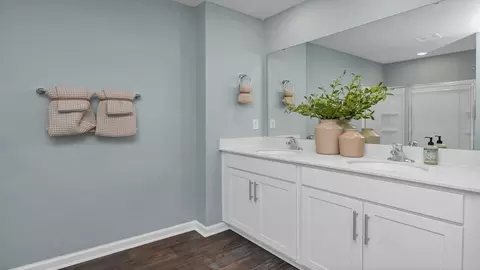 Bath - 414 Chilly Rd, Lexington, SC 29072 photo 4 of 9