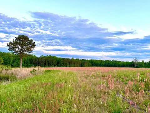 Other - 46 Denali Dr, Angier, NC 27501 photo 13 of 17