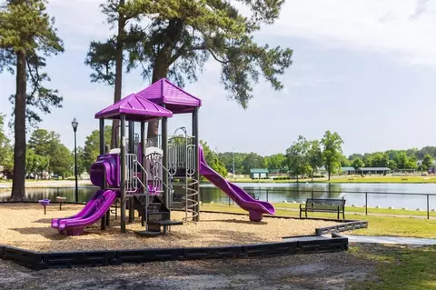 Other - 46 Denali Dr, Angier, NC 27501 photo 12 of 17