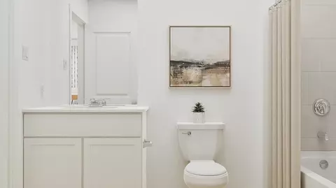 Bath - 417 Sormonne Loop, Kyle, TX 78640 photo 4 of 6