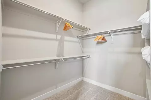 Other - 3527 Bethpage Dr, Fort Collins, CO 80524 photo 3 of 11