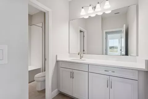 Bath - 10743 Spring Sapling Cir, Parrish, FL 34219 photo 9 of 10