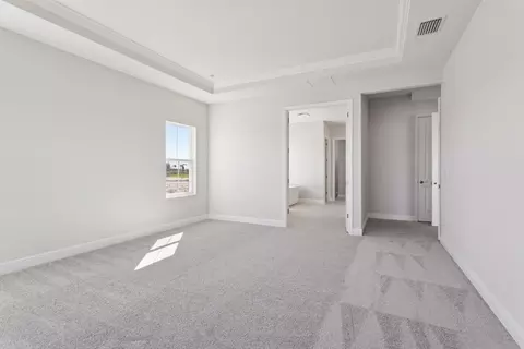 Bedroom - 10743 Spring Sapling Cir, Parrish, FL 34219 photo 6 of 9