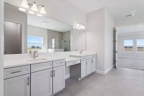 Bath - 10743 Spring Sapling Cir, Parrish, FL 34219 photo 8 of 10