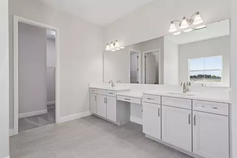 Bath - 10743 Spring Sapling Cir, Parrish, FL 34219 photo 5 of 10