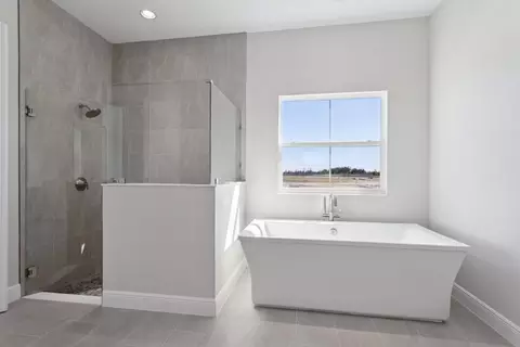 Bath - 10743 Spring Sapling Cir, Parrish, FL 34219 photo 7 of 10