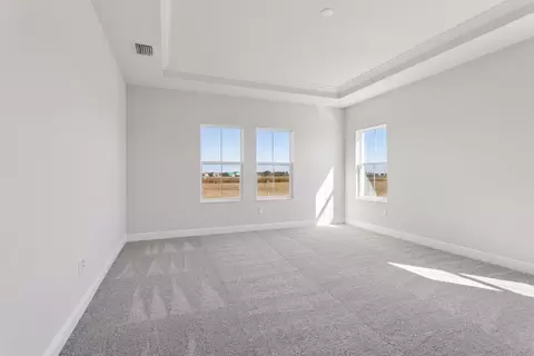 Bedroom - 10743 Spring Sapling Cir, Parrish, FL 34219 photo 5 of 9
