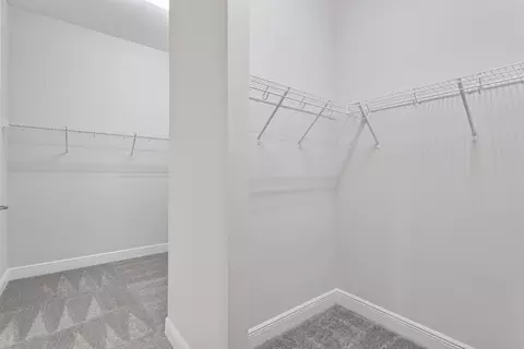Other - 10743 Spring Sapling Cir, Parrish, FL 34219 photo 8 of 10