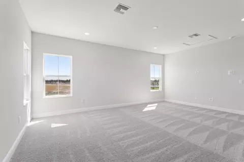 Other - 10743 Spring Sapling Cir, Parrish, FL 34219 photo 9 of 10