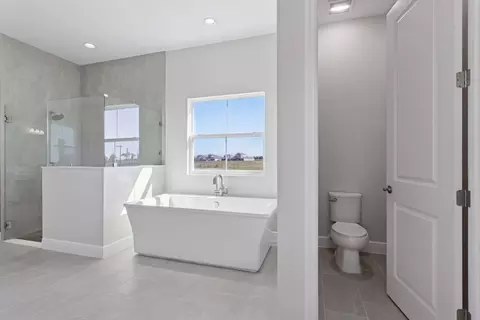 Bath - 10743 Spring Sapling Cir, Parrish, FL 34219 photo 6 of 10