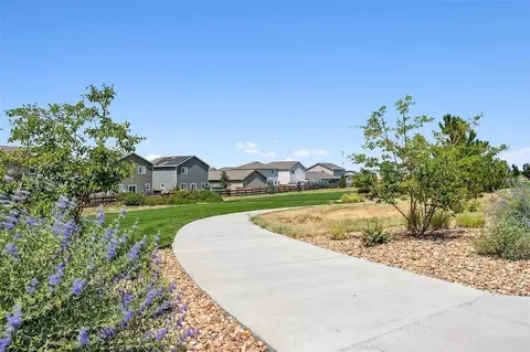Other - 7201 Aspen Brook Ave, Frederick, CO 80530 photo 14 of 14