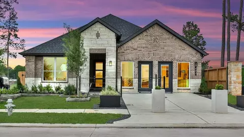 Exterior - 428 Springfield Terrace Dr, Conroe, TX 77304 photo 8 of 15