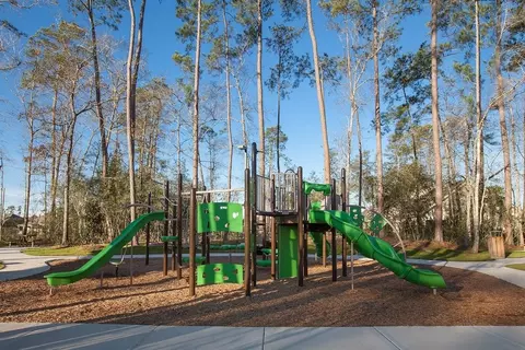 View/Area - 3009 Hickory Haven Ln, Conroe, TX 77385 photo 4 of 4