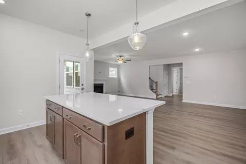 Other - 852 Dragonfly Pond Way, Wake Forest, NC 27587 photo 2 of 11