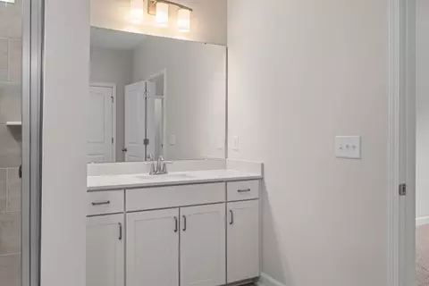 Bath - 852 Dragonfly Pond Way, Wake Forest, NC 27587 photo 5 of 7