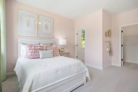 Bedroom - 852 Dragonfly Pond Way, Wake Forest, NC 27587 photo 10 of 10