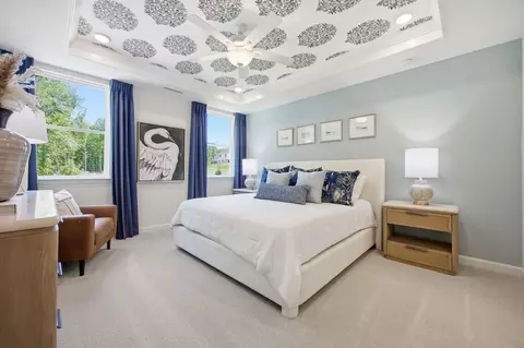 Bedroom - 852 Dragonfly Pond Way, Wake Forest, NC 27587 photo 8 of 10