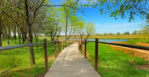 Other - 800 Twisted Leaf Ln, Aubrey, TX 76227 photo 6 of 7