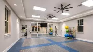 Other - 4327 Spoon Blade Dr, Parrish, FL 34219 photo 5 of 9