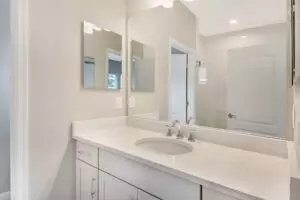 Bath - 4327 Spoon Blade Dr, Parrish, FL 34219 photo 1 of 2