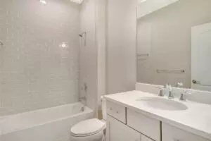 Bath - 4327 Spoon Blade Dr, Parrish, FL 34219 photo 2 of 2