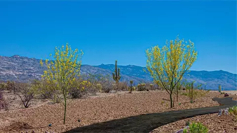 Other - 8778 S Circulo Generoso, Vail, AZ 85641 photo 7 of 16
