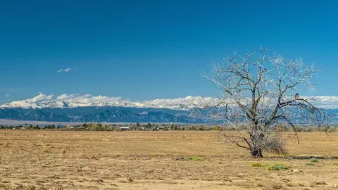 Other - 22205 E 6th Ave, Aurora, CO 80018 photo 4 of 7