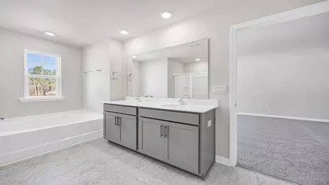 Bath - 205 Ruby Prince Rd, Gilbert, SC 29054 photo 2 of 11