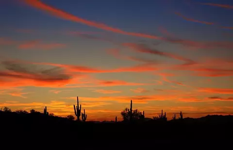 Other - 26285 W Morrow Dr, Buckeye, AZ 85396 photo 16 of 24