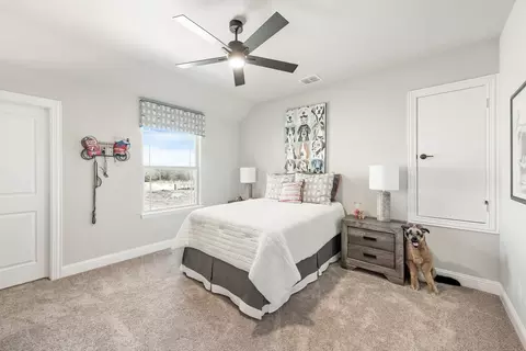 Bedroom - 1706 Baldwin Dr, Cedar Hill, TX 75104 photo 6 of 10