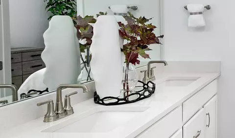 Bath - 21371 E 67th Ave, Aurora, CO 80019 photo 3 of 3