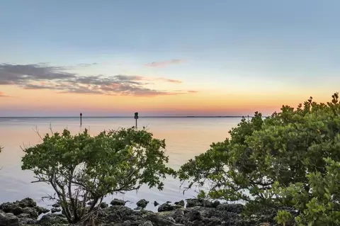 View/Area - 11526 Willowleaf Blvd, Punta Gorda, FL 33955 photo 4 of 4