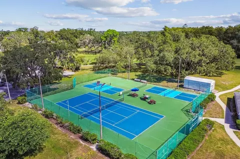 View/Area - 13824 Chestnut Ridge Dr, Hudson, FL 34669 photo 1 of 17
