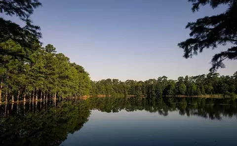 View/Area - 314 Sierra Stream Ln, Conroe, TX 77304 photo 6 of 13