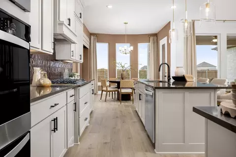 Kitchen - 1177 Hitching Post Way, Oak Point, TX 75068 photo 11 of 12